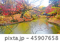 昌徳宮 悲願 池 45907658