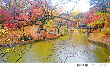 昌徳宮 悲願 池 45907658