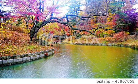 昌慶宮 悲願 池 45907659