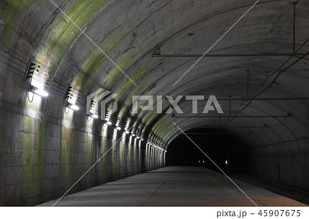 上越線 土合駅（下りホーム） 45907675