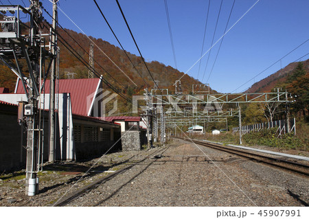 紅葉の上越線 土合駅にて（上り線） 45907991