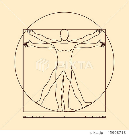 Leonardo da vinci vitruvian man form similar vector illustration 45908718