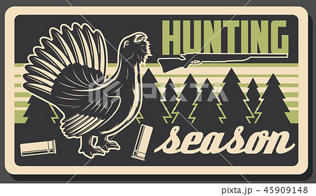 Wood grouse or capercaillie bird, hunting sport Wood grouse or capercaillie bird, hunting sport 45909148