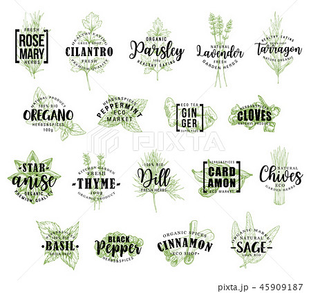 Herb and spice icons with lettering, vector Herb and spice icons with lettering, vector 45909187