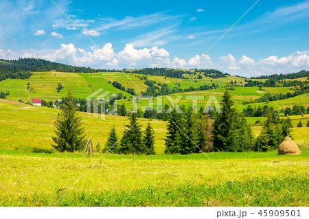 grassy rural hills in mountains 45909501