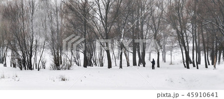 winter snow landscape trees over lake 45910641