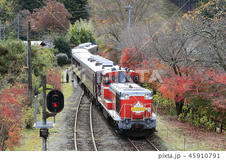 紅葉のわたらせ渓谷鉄道 紅葉のわたらせ渓谷鉄道 45910791