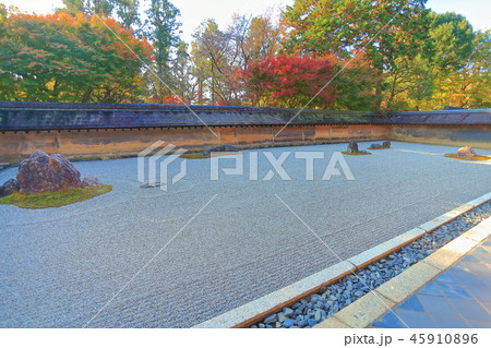 龍安寺 紅葉の石庭 龍安寺 紅葉の石庭 45910896