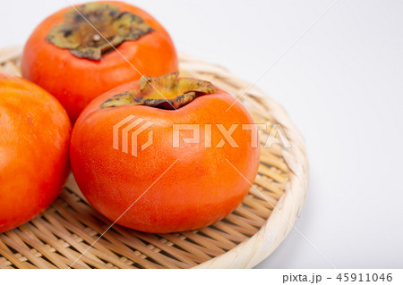 柿　果物 45911046