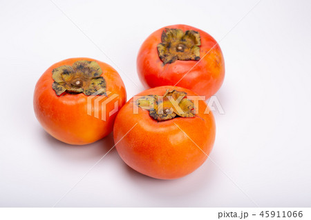 柿　果物 45911066