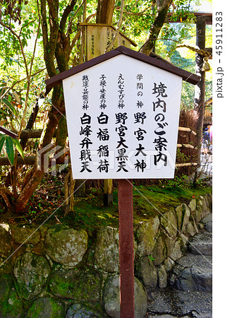 野宮神社（京都） 45911283