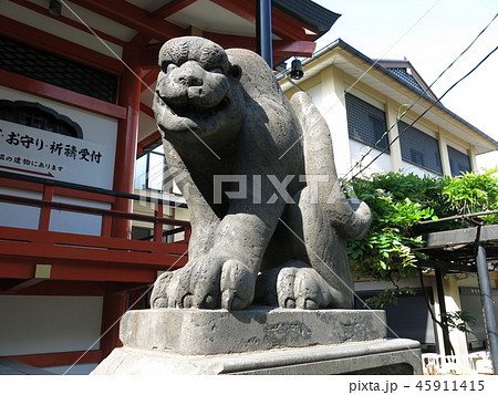 神楽坂の善國寺に残る石虎 神楽坂の善國寺に残る石虎 45911415