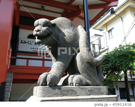 神楽坂の善國寺に残る石虎 神楽坂の善國寺に残る石虎 45911416