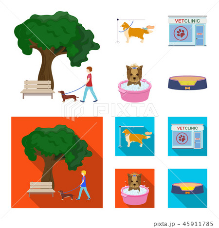 walk in clinic for pets near me