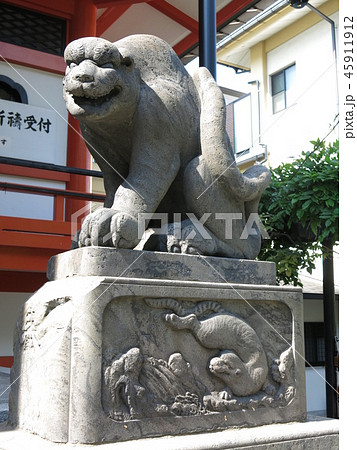 神楽坂の善國寺に残る石虎 45911912