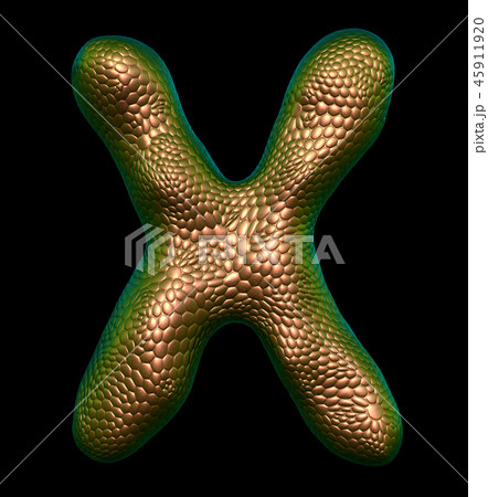 Letter X made of natural gold snake skin texture isolated on black. 45911920