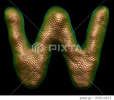 Letter W made of natural gold snake skin texture isolated on black. 45911921