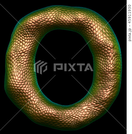 Letter O made of natural gold snake skin texture isolated on black. Letter O made of natural gold snake skin texture isolated on black. 45911930