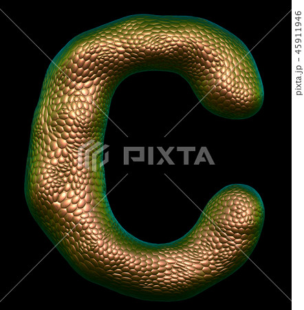 Letter C made of natural gold snake skin texture isolated on black. 45911946