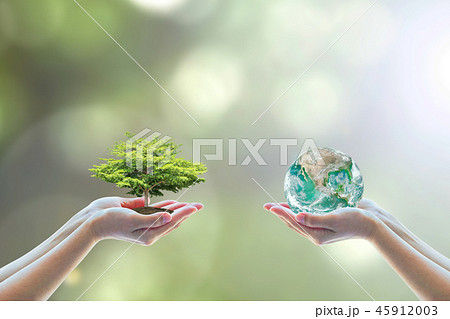 World environment day go green concept 45912003