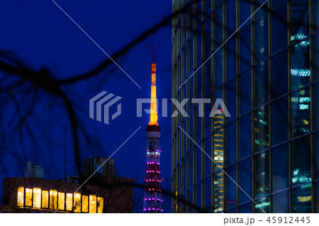 ひっそり東京タワー 45912445