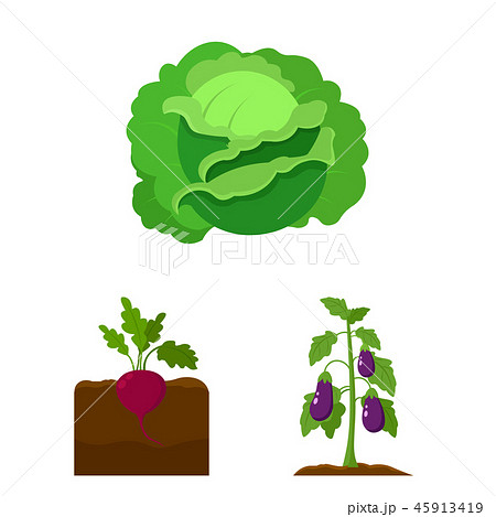 Plant, vegetable cartoon icons in set collection for design. Garden and harvest vector symbol stock 45913419