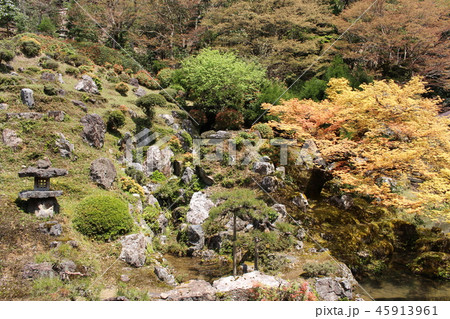 常照皇寺の庭園紅葉 常照皇寺の庭園紅葉 45913961