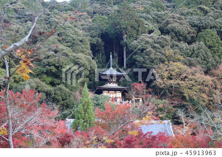 永観堂紅葉と多宝塔 45913963
