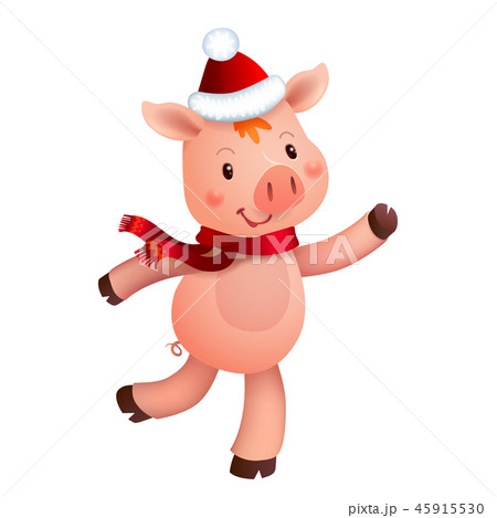 Cute pig and Santa hat. Symbol of the year in the Chinese calendar. Vector cartoon isolated 45915530