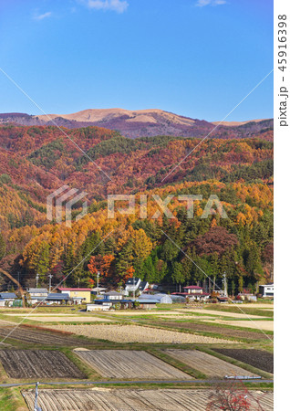 茅野市の紅葉 45916398