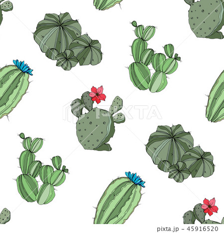 Vector Cactus. Green engraved ink art.Seamless background pattern. Fabric wallpaper print texture. 45916520