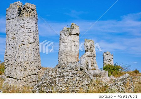 The Stone Desert 45917651