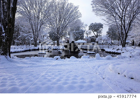 一面に広がる白い雪、噴水、群馬県高崎市、高崎公園の冬の雪景色の写真