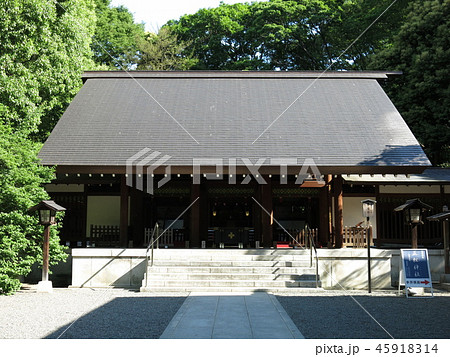 新緑が美しい港区の乃木神社 45918314