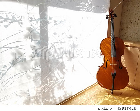 チェロのある部屋 45918429