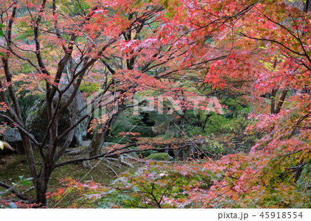 京都しょうざんの風景 45918554