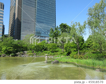 新緑が美しい春の港区立檜町公園(下の池) 新緑が美しい春の港区立檜町公園(下の池) 45918570