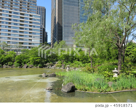 新緑が美しい春の港区立檜町公園(下の池) 新緑が美しい春の港区立檜町公園(下の池) 45918571