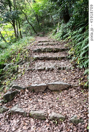 秋の米子城跡 45918709