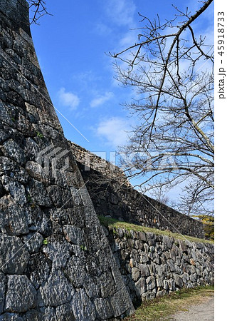 秋の米子城跡 45918733