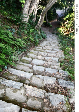 秋の米子城跡 45918736