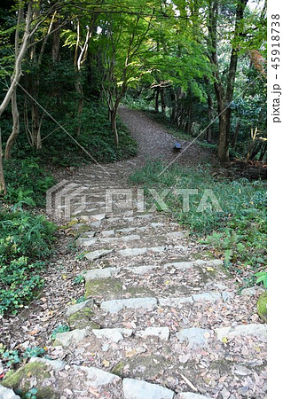 秋の米子城跡 秋の米子城跡 45918738