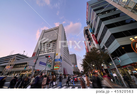 日本の東京都市景観 中野サンプラザなど、中野の街並みを望む 日本の東京都市景観 中野サンプラザなど、中野の街並みを望む 45920563