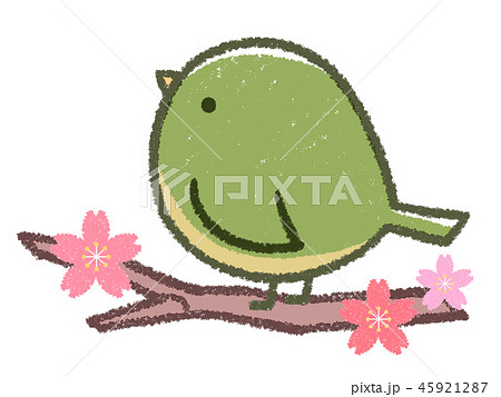 振り向きウグイスと桜の木のイラスト素材 45921287 Pixta