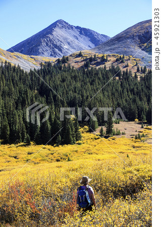 Woman hiking during autumn at Mayflower Gulch, Colorado Woman hiking during autumn at Mayflower Gulch, Colorado 45921303