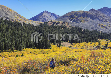 Woman hiking during autumn at Mayflower Gulch, Colorado Woman hiking during autumn at Mayflower Gulch, Colorado 45921304
