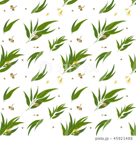 Seamless pattern with eucalyptus leaves, seeds and flowers Seamless pattern with eucalyptus leaves, seeds and flowers 45921488
