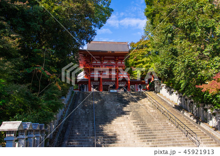 近江神宮 45921913