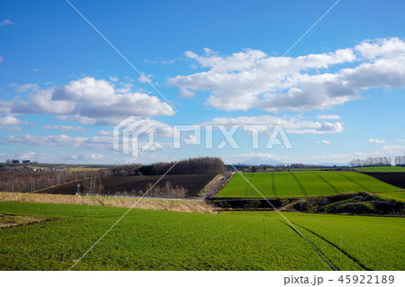 感動の径 畑作風景の写真素材