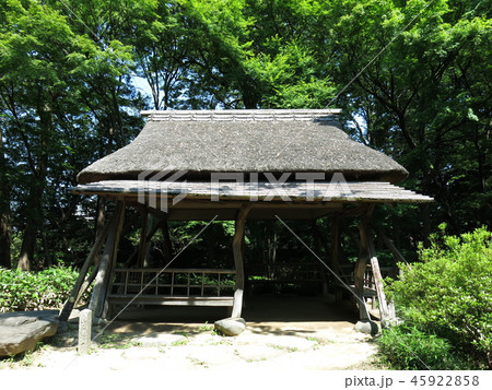 新緑が美しい春の六義園(つつじ茶屋) 新緑が美しい春の六義園(つつじ茶屋) 45922858